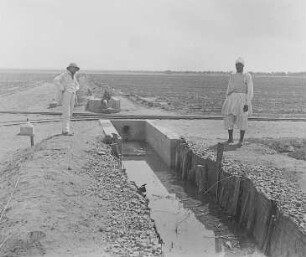 Bewässerungskanal auf einer Wüstenfarm, Ägypten : Geographie | Wirtschaftsgeographie | Gerb-, Flecht- und Papierstoffe liefernde Pflanzen | Gerbstoffe, Flechtstoffe und Fasern, Papierstoffe liefernde Pflanzen