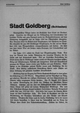 Stadt Goldberg (Schlesien)