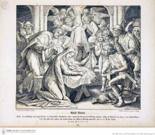 Die Bibel in Bildern : 240 Darstellungen, erfunden und auf Holz gezeichnet von Julius Schnorr von Carolsfeld Leipzig : Wigand, 1860. - X, 38 S., 240 Bl. : überw. Ill. lt KayserChristi Geburt - Die Bibel in Bildern