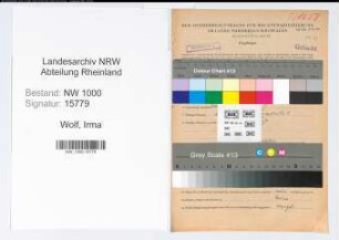 Entnazifizierung Irma Wolf, geb. 01.10.1901 ()