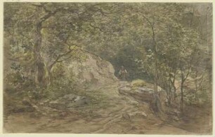 Fahrweg durch einen Buchenwald