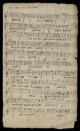 Tenor vel cantus Primus