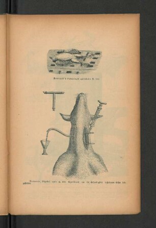 Bernard's Physiologie opératoire S. 126.