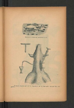 Bernard's Physiologie opératoire S. 126.