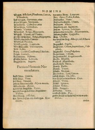 Partium Hominis Nomenclatura.