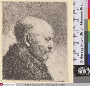 [Kahlköpfiger Mann im Profil nach rechts; Bald Headed Man in Profile Right: The Artist's Father (?); Tête d'homme chauve]