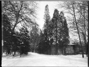 Karlsruhe Fasanengarten Landschaftsbild
