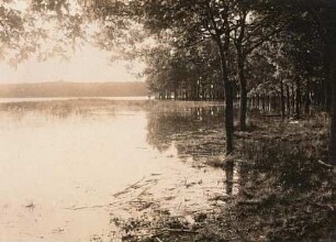 Moritzburg. Mittelteich. Wasserstand durch Wolkenbruch 1 m zu hoch. Teichwiese und zum Teil der Uferwald (aus Eichen und Fichten bestehend) überschwemmt