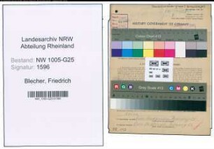 Entnazifizierung Friedrich Blecher , geb. 21.12.1880 (Handelsvertreter)