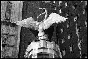 Oslo: Schwanenbrunnen und Astronomische Uhr im Rathaushof