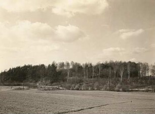 Oberlausitz. Burgwall Kopschien bei Krostwitz (Crostwitz). Gesamtansicht von Südosten