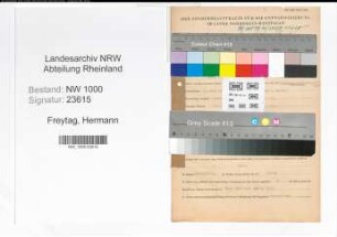 Entnazifizierung Hermann Freytag, geb. 09.07.1900 (Volkswirt), NSDAP-Kreisleiter