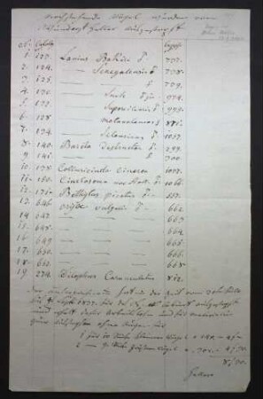 Liste ausgestopfter Vögel und Materialkosten