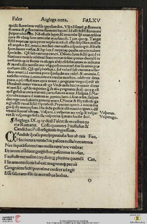 Aegloga nona
