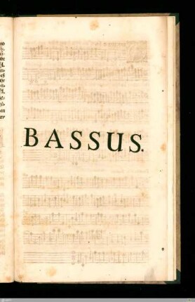 BASSUS.