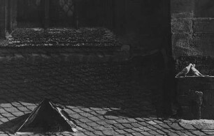Archivfotografie "motive_tiere_haus_tauben_on"