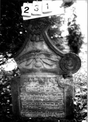 Grabstein 231