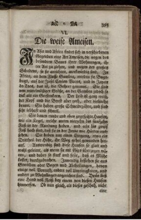 VI. Die weise Ameisen.