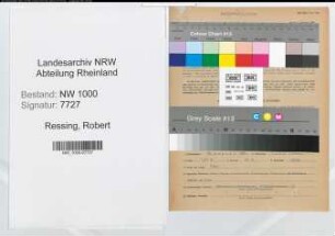 Entnazifizierung Robert Ressing, geb. 18.08.1881 (Verw.Direktor)