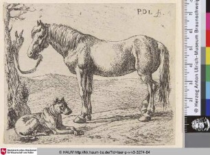[Angebundenes Pferd mit liegendem Hund; The Horse and the Dog; Paard en hond in een weide]