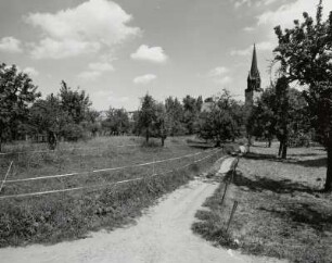 Weg durch Streuobstwiese zu Pfarrhaus und Friedenskirche in Altkötzschenbroda (vom Elbauenweg)