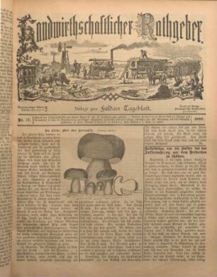 Beilage vom Montag, 12. August 1895