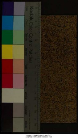 Die Historie von Walles In sich haltend derer Printzen von Walles Leben und Thaten ; Von Cadwalader dem letzten Könige an, biß auf Lhewelinum, den letzten Printzen, Brittannischen Geblüthes