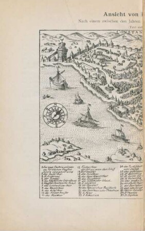 Ansicht von Konstantinopel. Nach einem zwischen den Jahren 1566 und 1574 gedruckten Original.