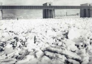 Eiswinter 1956 am Main