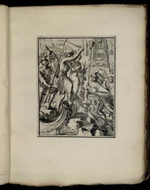 [Abbildung] No. 46