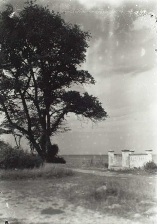 Aussichtspunkt am Weg zum Alexandrinencottage. Blick auf die Ostsee
