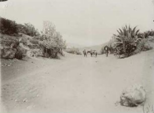Camino real bei Riobamba