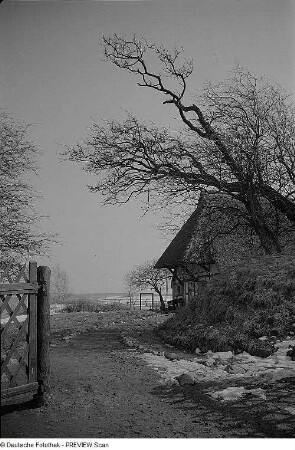 Gebäude in Ahrenshoop auf dem Darß