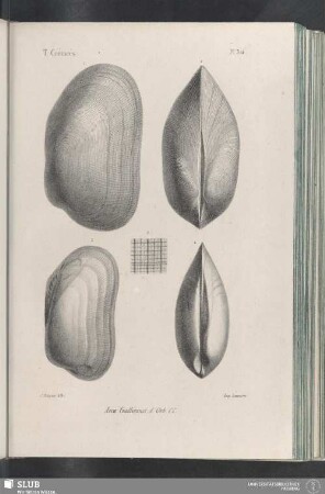 Pl. 314