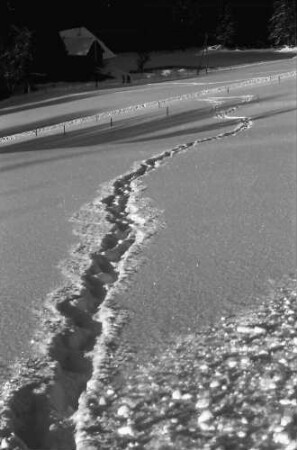 Hinterzarten: Gestapfte Spur im Schnee