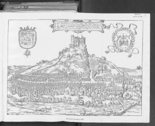 Tafel 16 zu S. 31. 32. Die Stadt Segeberg 1590.