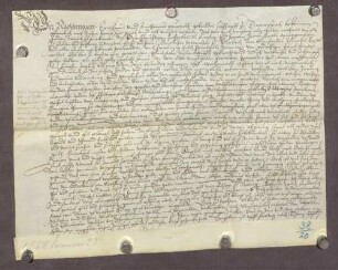 Gültbrief der Brüder Erasmus und Antonius Gauppolt gegen die geistliche Verwaltung zu Durlach über 20 fl. unter Verpfändung von Gütern zu Darmsbach