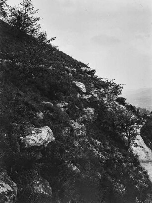 Berghang : Berghang mit Vegetation und Gestein