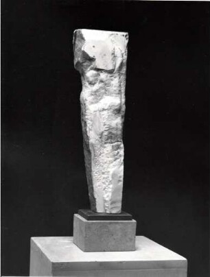 Schnepfenthalerin