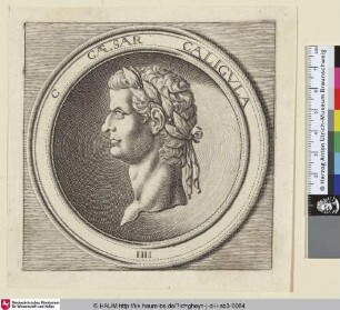 C CAESAR CALIGVLA [Porträtmedaillon mit der Büste des Caligula; Caligula]