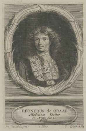 Bildnis des Regnerus de Graaf