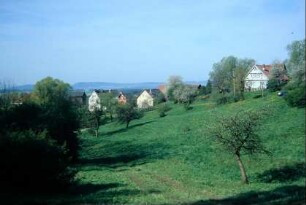 Häuser, Wiesen