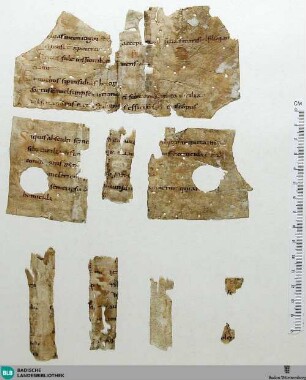 Fragment - Cod. Aug. Fr. 200