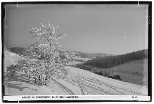 Rehefeld. Blick nach Kalkofen