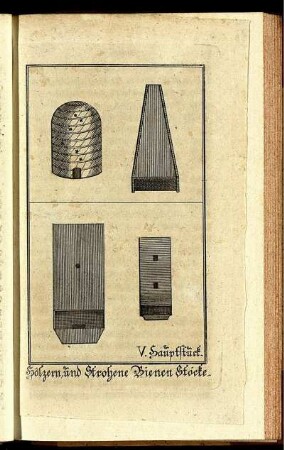 Hölzern und Strohene Bienen Stöcke.