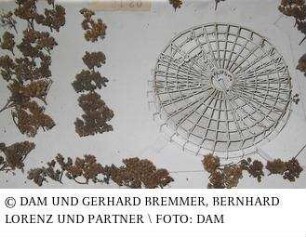 Ballsporthalle, Silostraße - Wettbewerbsmodell des Gesamtgebäudes, Einsatz