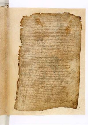 Rezeptsammlung: Gegen Brustdrüsenerkrankungen (Nachtrag, 11. Jh.)