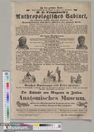 Anthropologisches Cabinet