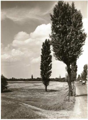 Nordsächsisches Tiefland (Leipziger Tieflandsbucht). Auenlandschaft der Weißen Elster bei Döhlen, nordöstlich von Pegau, an der Straße Döhlen - Wiederau. Im Hintergrund die Kirche von Wiederau