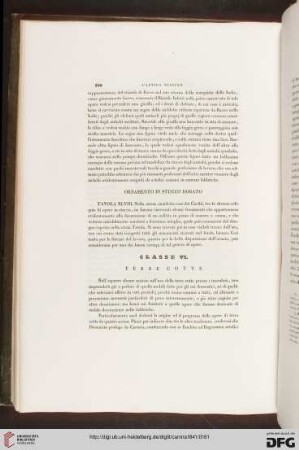 Classe VI: Terre cotte